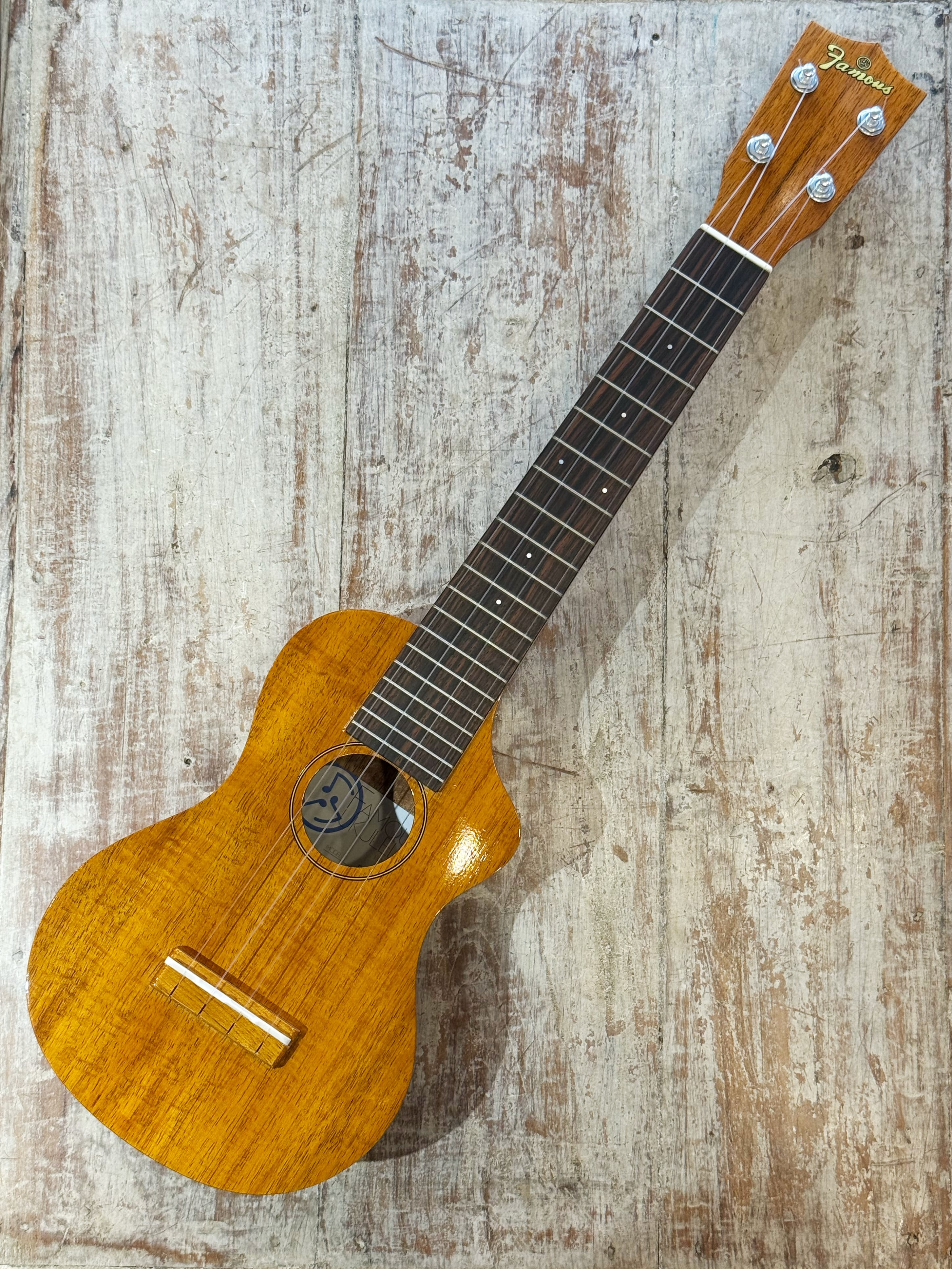 45Rインディゴ　葉山ウクレレ　ワンピース 45R葉山ものがたり インドウクレレちゃんプリントの45トート