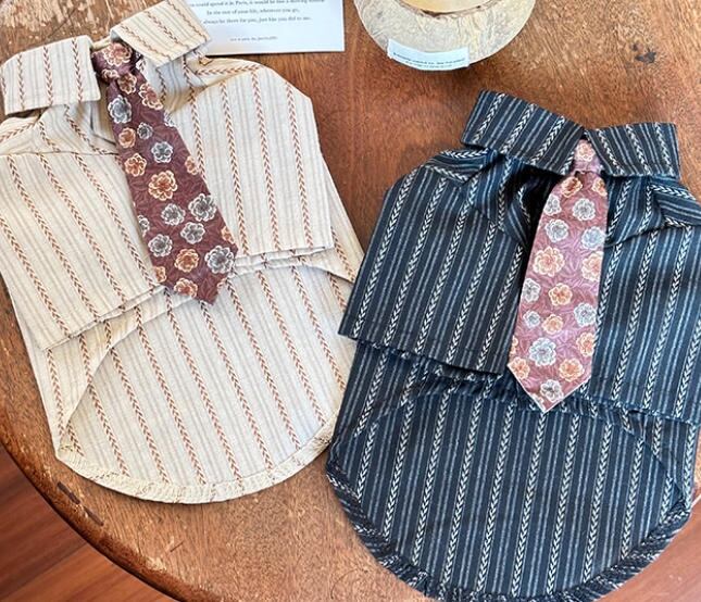 《予約》1103262 ボーダーネクタイシャツ(2XL~5XL)