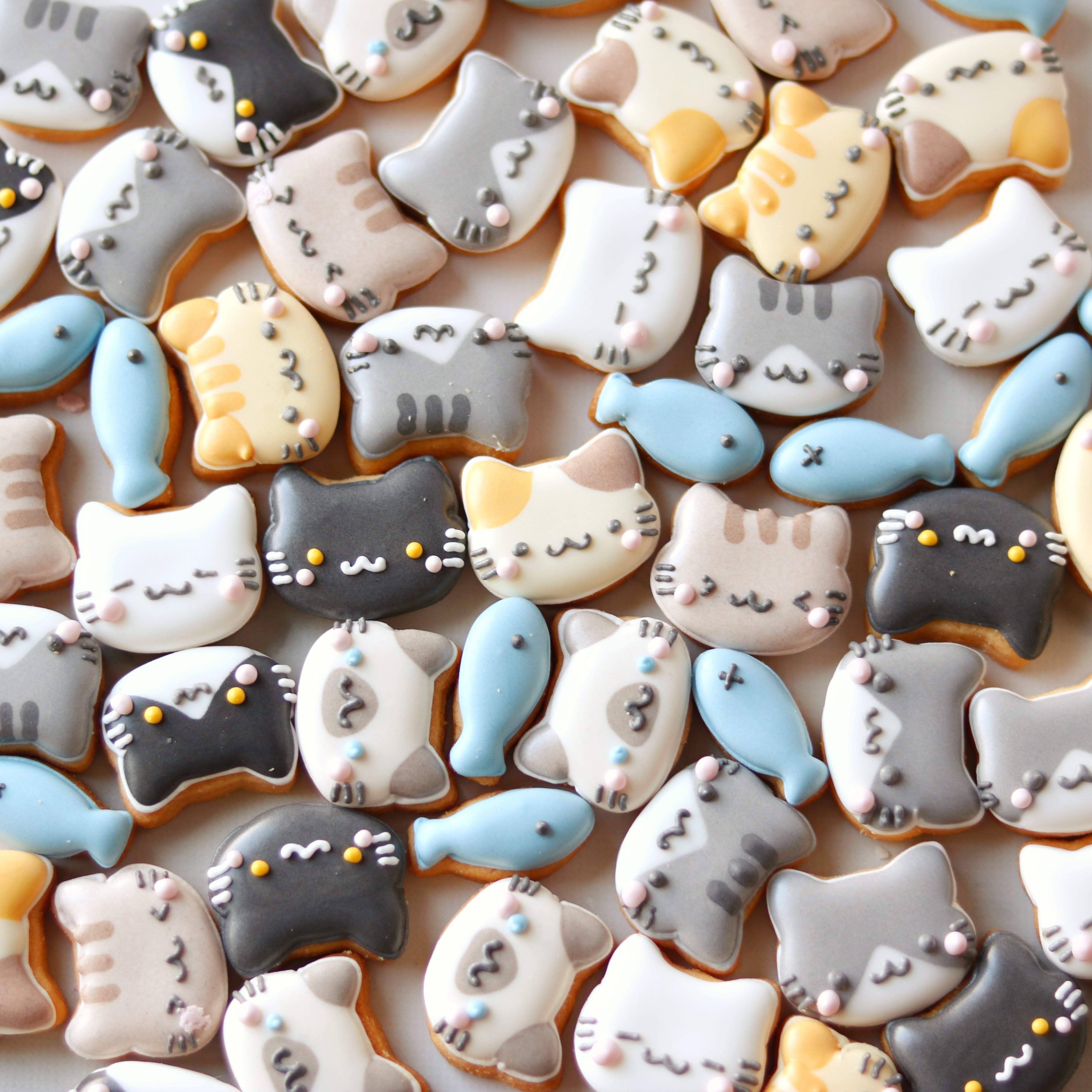 ねこまみれクッキーBOX【抽選】 | もりのおかしやさん