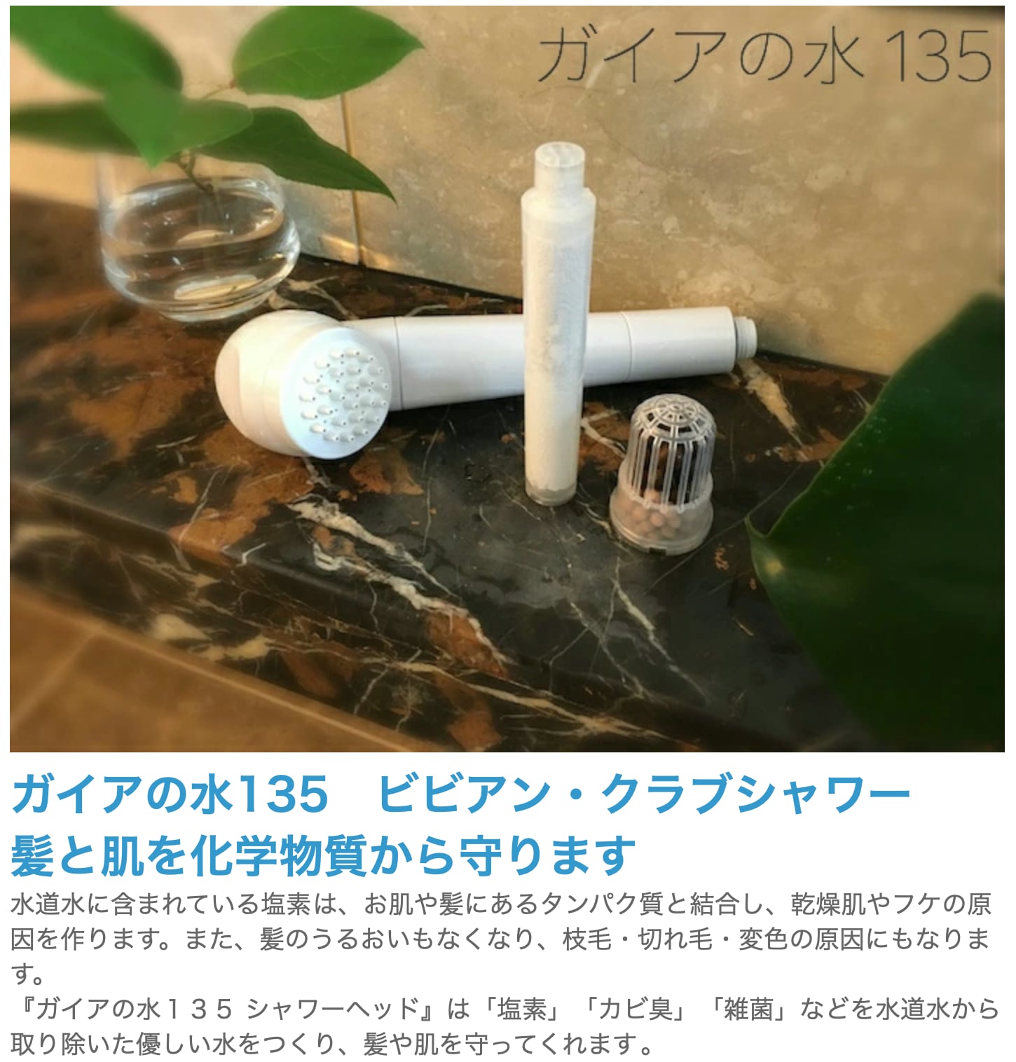 ガイアの水135 シャワーヘッド