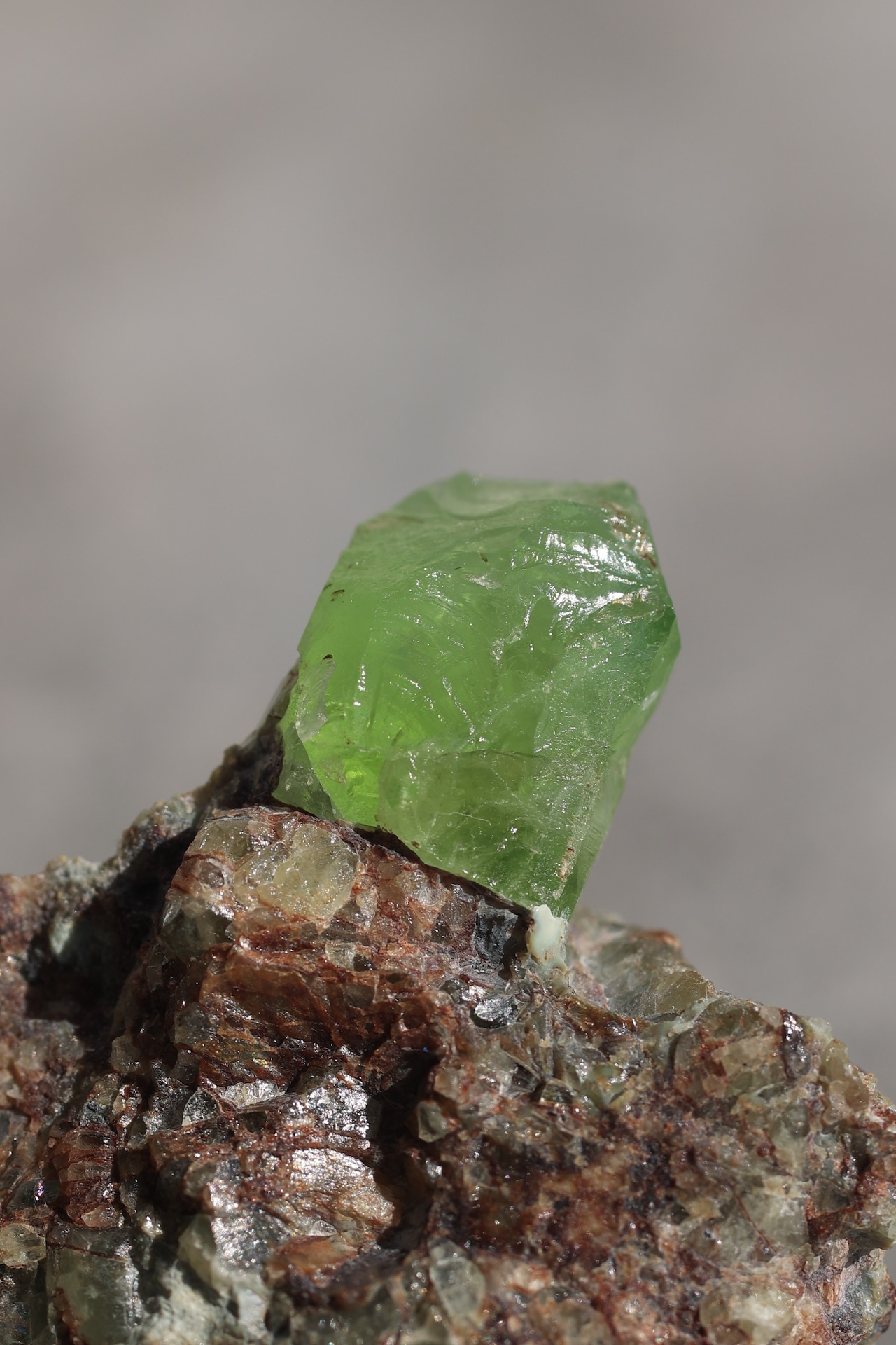 ペリドット「新緑の息吹」Peridot|天然石 原石 鉱物 パワーストーン | PD-H-002