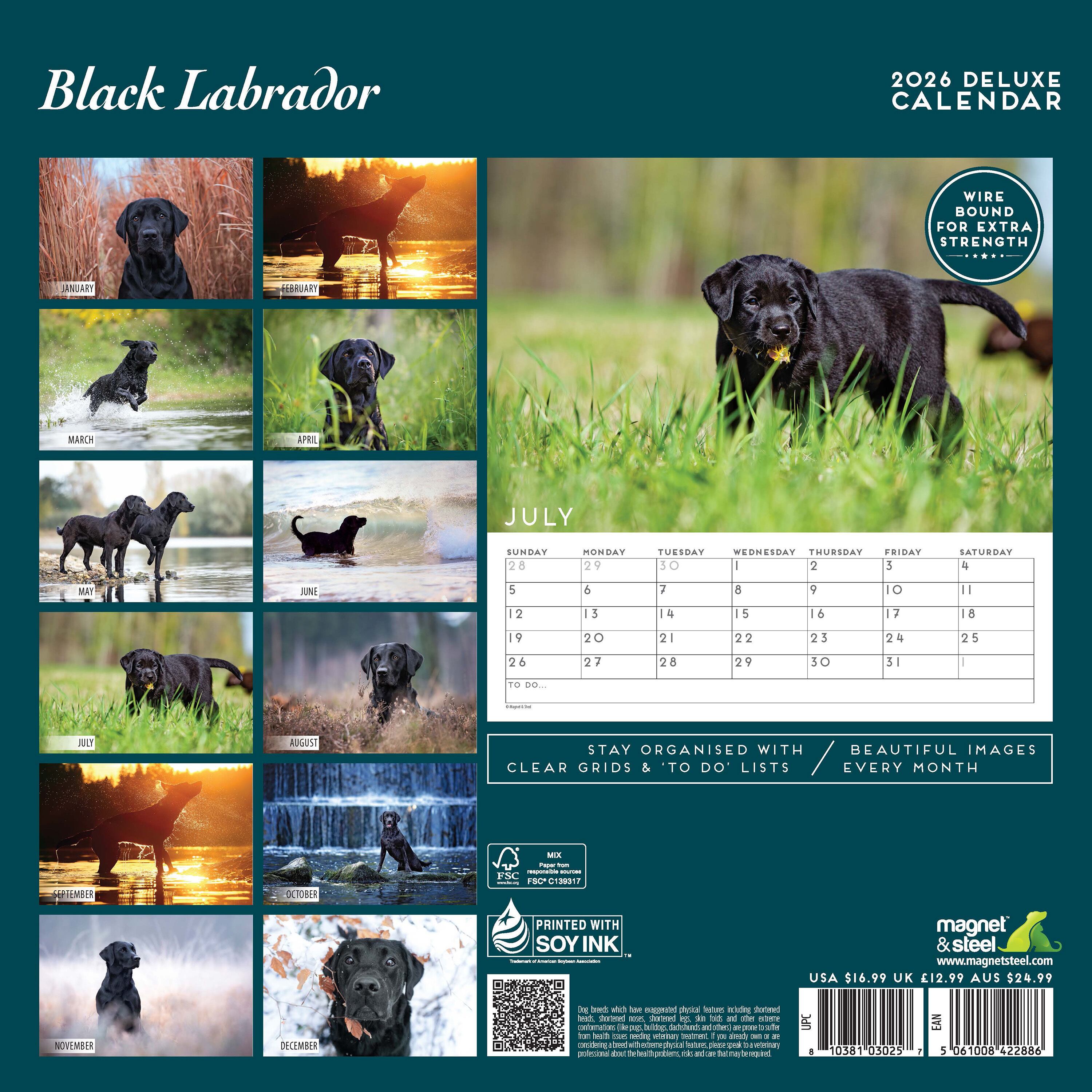 【2026年版】英国製犬種カレンダー【ラブラドール・ブラック DELUXE】2026年版