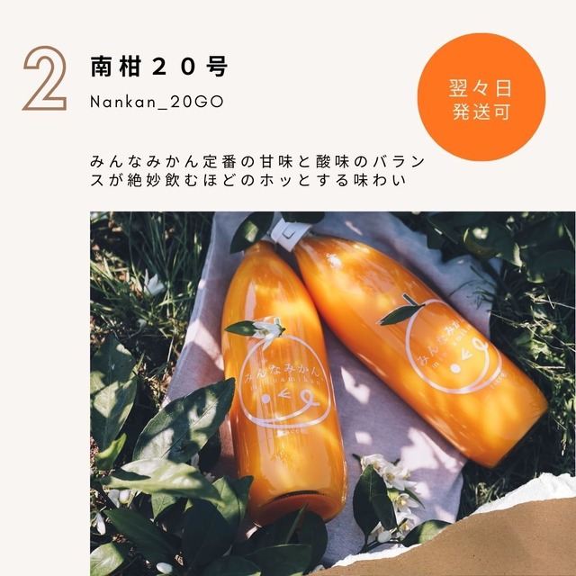 入荷＞＞「南柑20号」子どもも大人もみんな大好き定番みかん