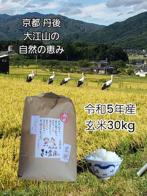 令和5年産 玄米30kg