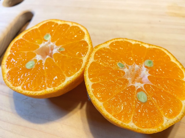 ポンカン【ご家庭用】サイズMIX5㎏（約35個）