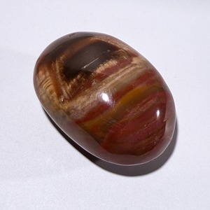 ペトリファイドウッド01 パーム ＊ Petrified Wood ＊ 天然石