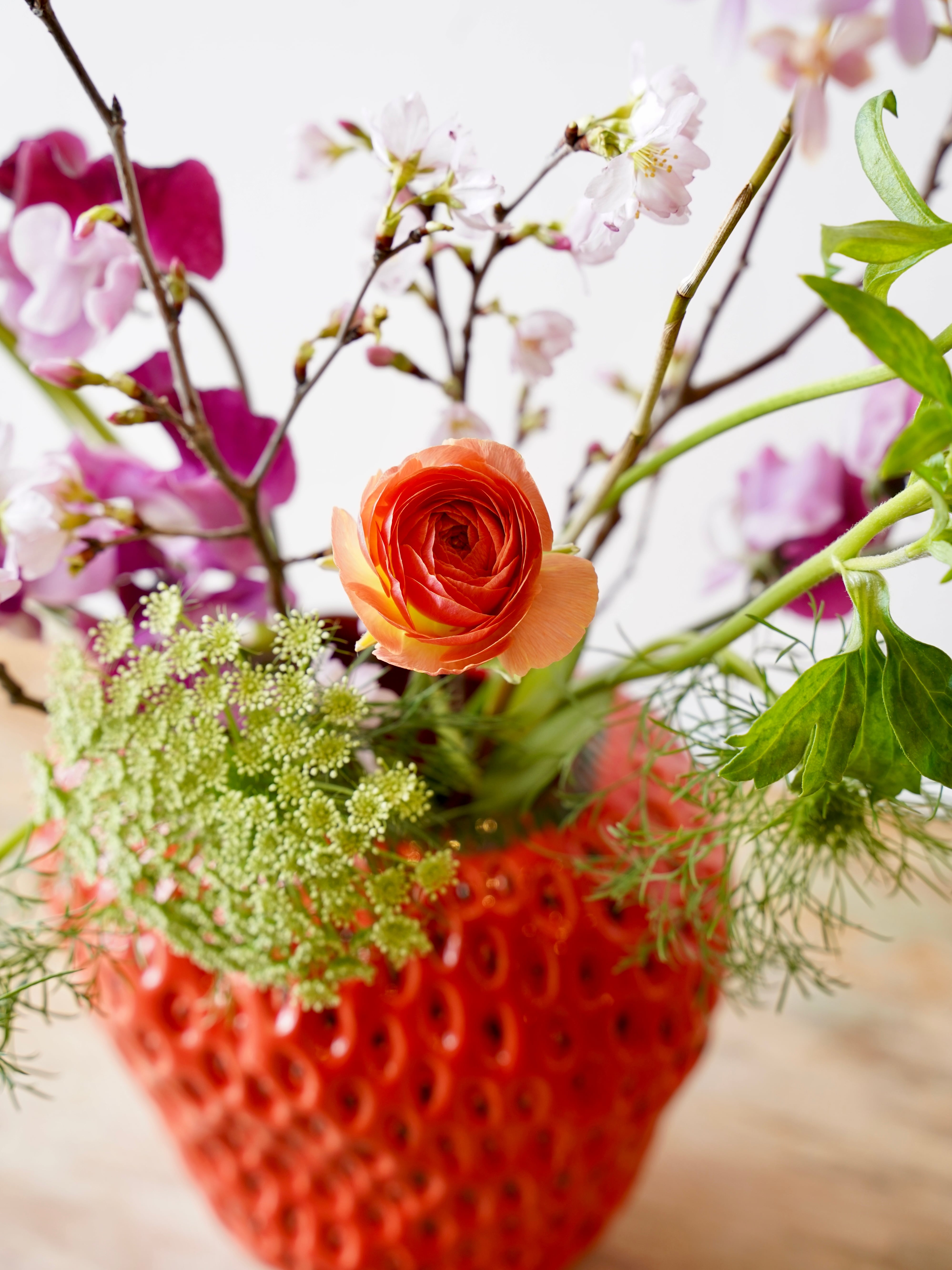 Despots ”ストロベリーベース” レッド 18 | フラワーショップあきの