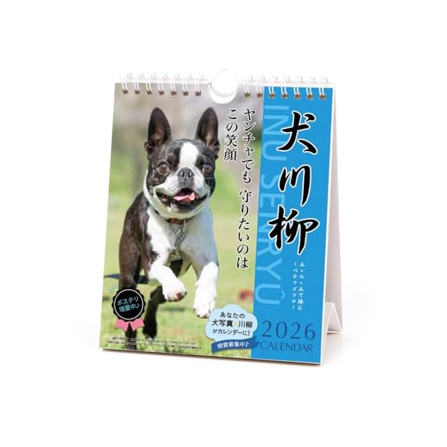 銀座まるかん 日めくりカレンダー（愛する人へのメッセージ31） | Pay ID