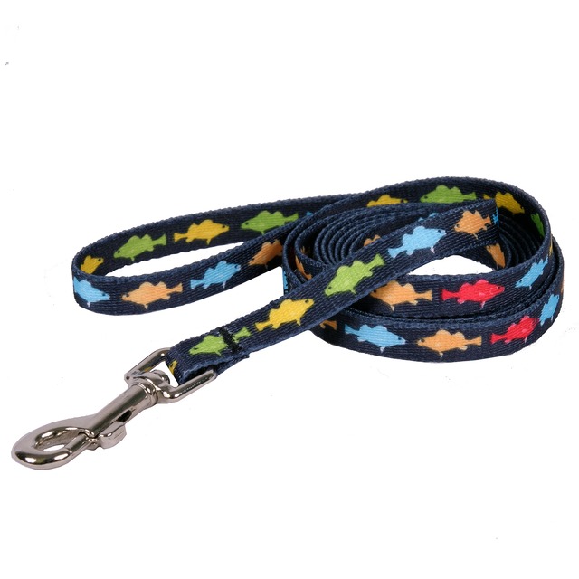 Rainbow Fish Black 首輪Sサイズ＋リード XSサイズ - Yellow Dog Design