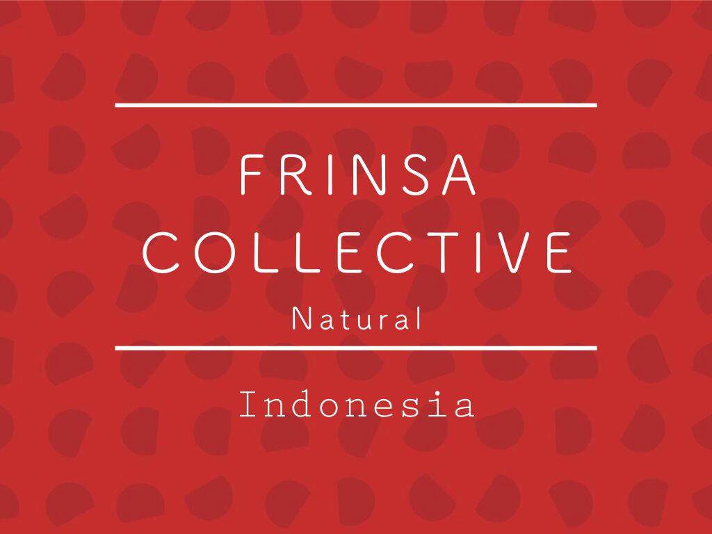 【お得！500g】インドネシア / FRINSA COLLECTIVE Natural