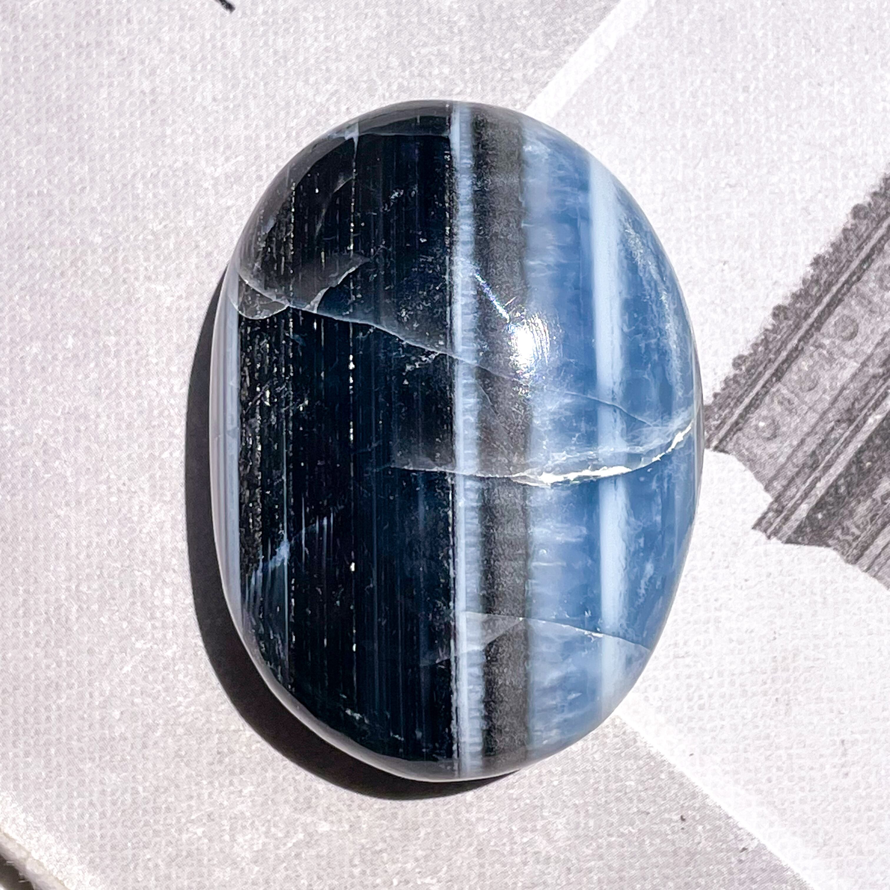 By Color Owyhee Blue Opal Palm 2 ✧ バイカラーブルーオパール