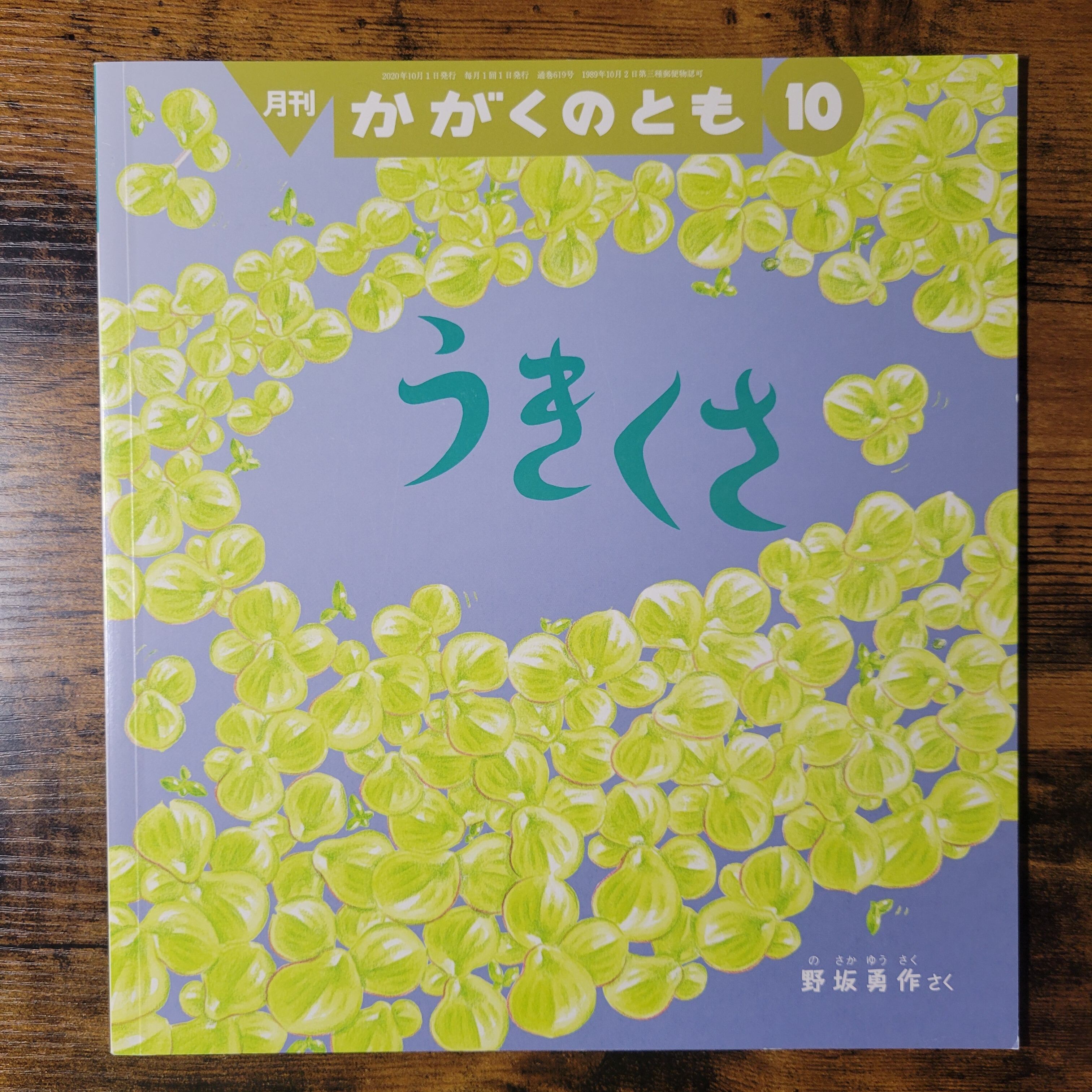 ぱんこちゃんになろうっ / みぎわパン | Pay ID
