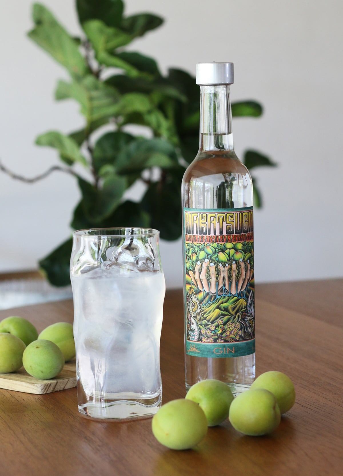 ナカツジン 梅 1st / NAKATSU GIN | ジンラボリカー