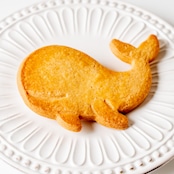 くじらサブレ(1枚)