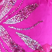 社交ダンス 衣装 The ONE ザワン スタンダードドレス ドレス ワンピース スタンダード フロート レース ファー フリル デモ 競技 ダンス パーティ 発表会 ピンク系 鮮やか 豪華 高級感 フォーマル ダンスイベント 競技会 衣装デザイン フェザー