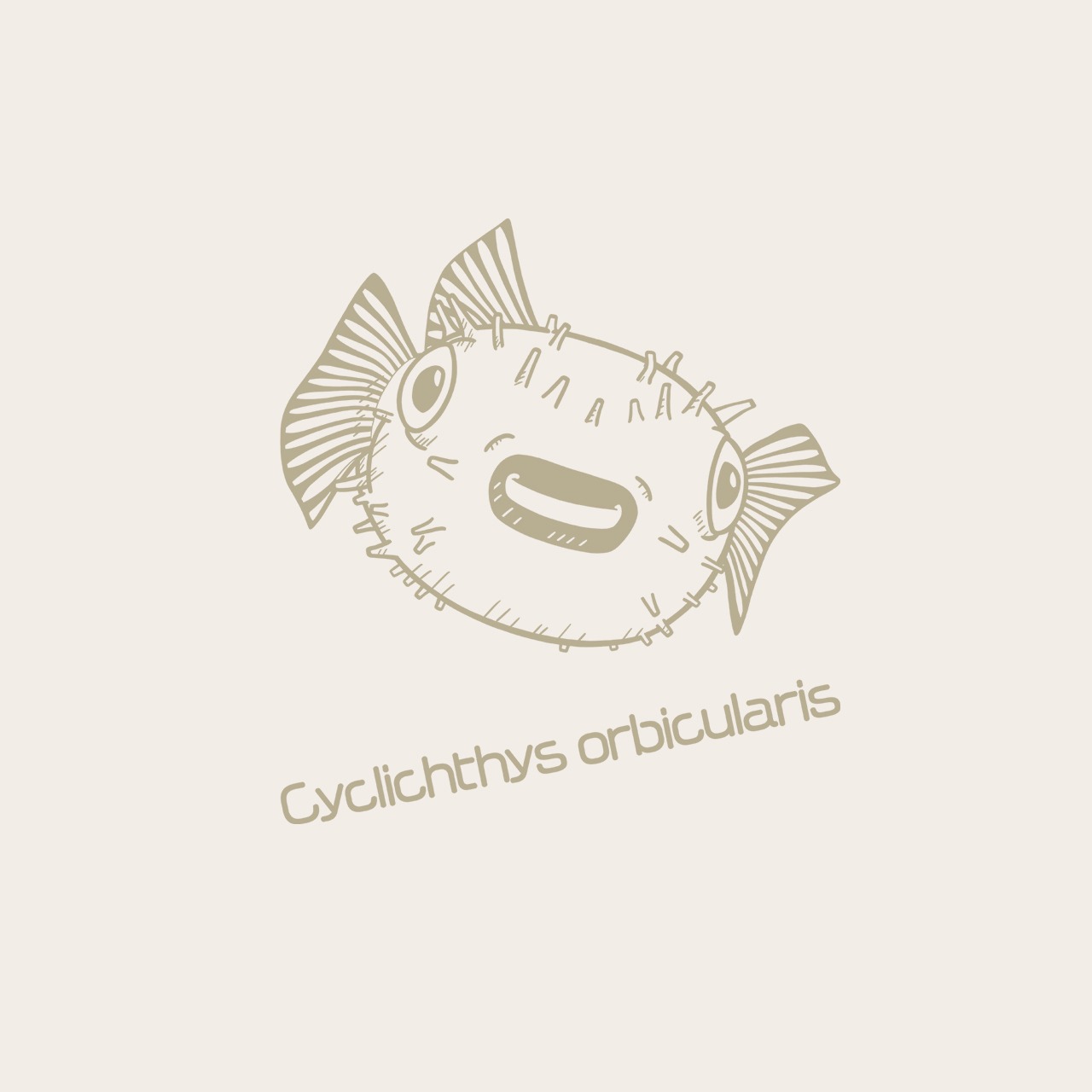 メイタイシガキフグ-Tシャツ(バニラホワイト) - 4