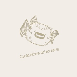 メイタイシガキフグ-Tシャツ(バニラホワイト)