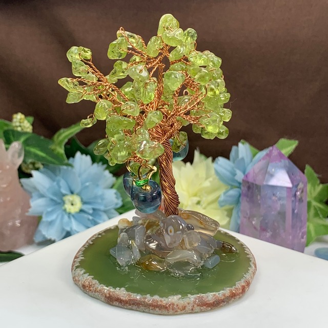 青いりんごがなる招財樹・ペリドット