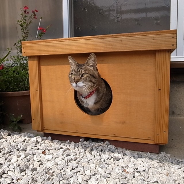 愛情たっぷりあったか猫ハウス 想いをかたちに あかねといおな日記
