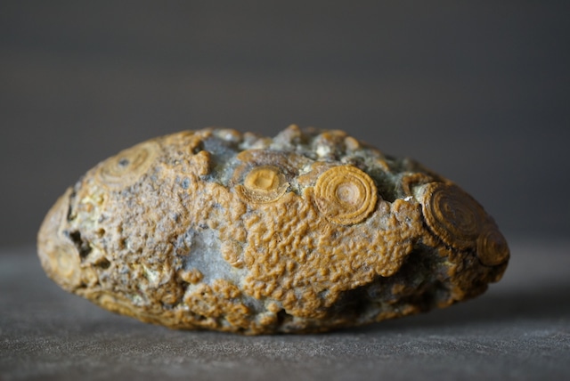 ゴビアゲート Gobi Agate 1129