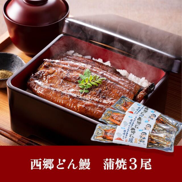 うな様　オーダー分 鹿児島県産『西郷どん鰻』1尾 （1～2人前） | The さつま