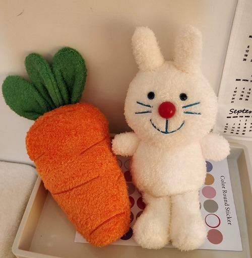 【お取り寄せ】★2種★ かわいい プレゼント 韓国風 ins 人形 ぬいぐるみ おもちゃ 玩具