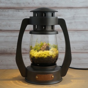 Terrarium Lantern [Metallic Brown]