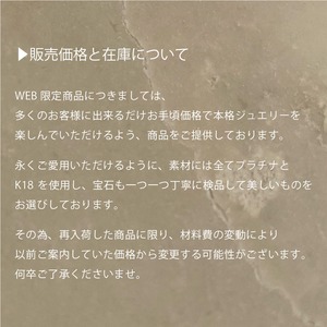 〈AAペア〉クリスマス限定特別ピアスセット【WEB限定】48308.48309/48310.48312/48209.48311
