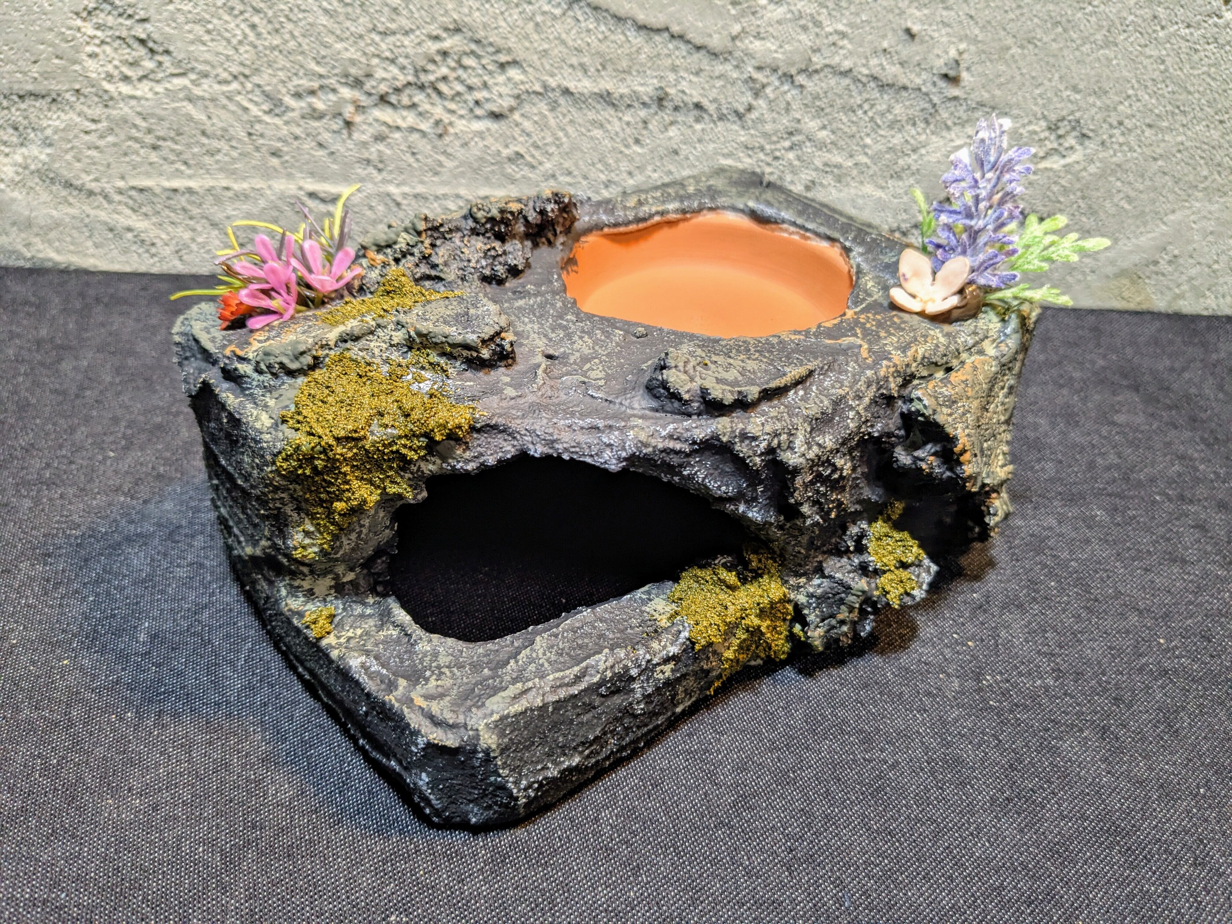 爬虫類用造形アート ともえ屋