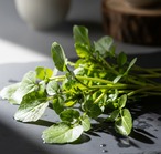 【冬季限定】クレソンペースト