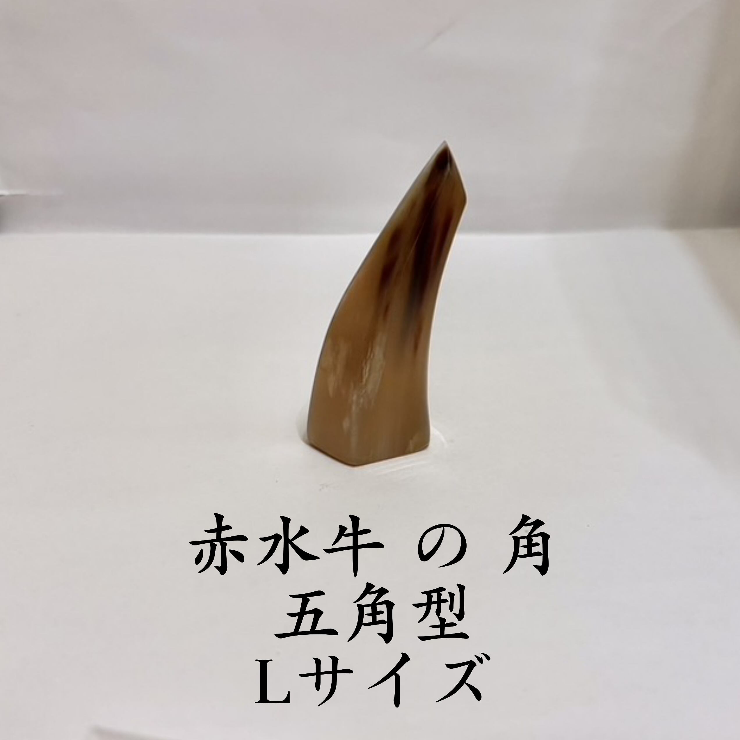 三線ばち ( 爪 /ツメ/バチ) : 黒水牛 の 角 まる型LL(約9cm) | 【三線