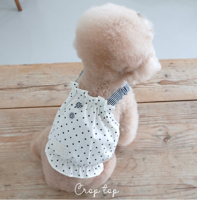 S.M/即納【near by us】cookie crop crop (cookie cream)