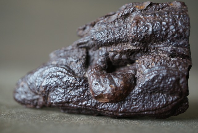 エジプト産ゼットストーン 特殊 Pseudomorph Goethite After Marcasite 1243