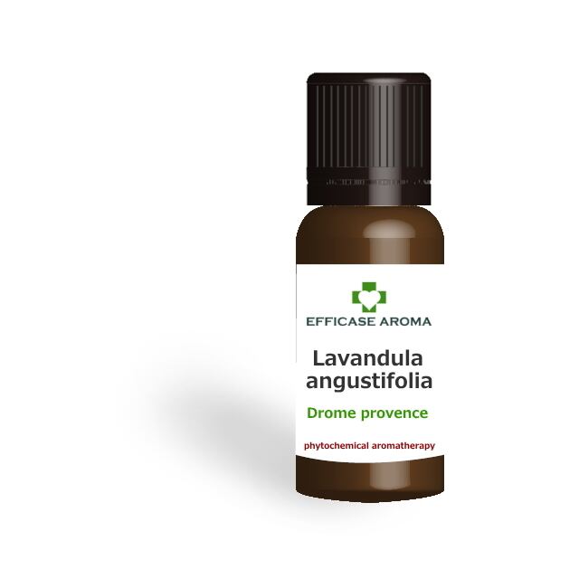 真正ラベンダー (Lavandula angustifolia) 10ml フランス プロヴァンス ドローム産 アロマテラピー エッセンシャルオイル 精油 EFFICASE AROMA エフィカス