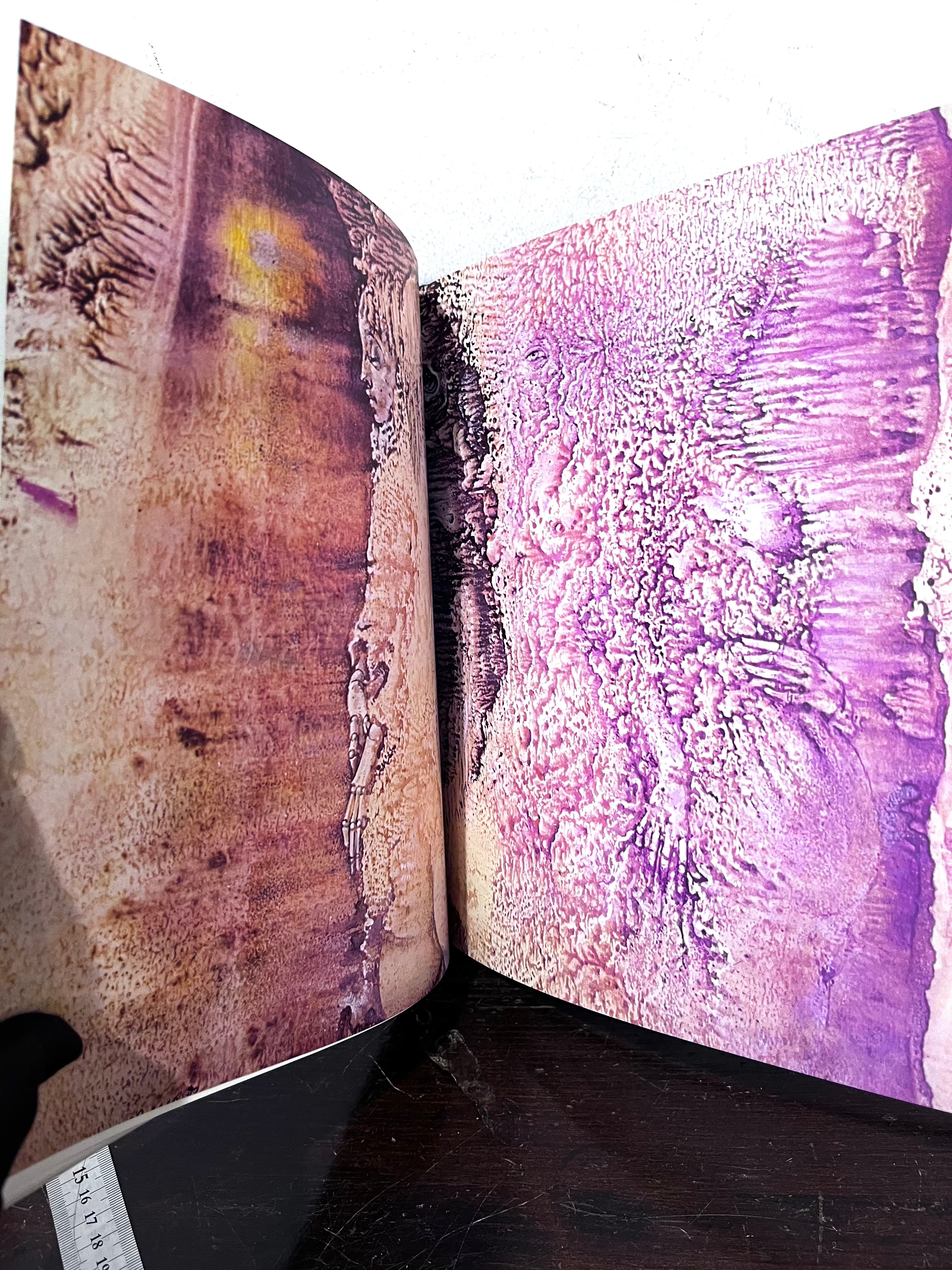 70's美品 HANS BELLMER ハンス・ベルメール EDITIONS FILIPACCHI | zbooks