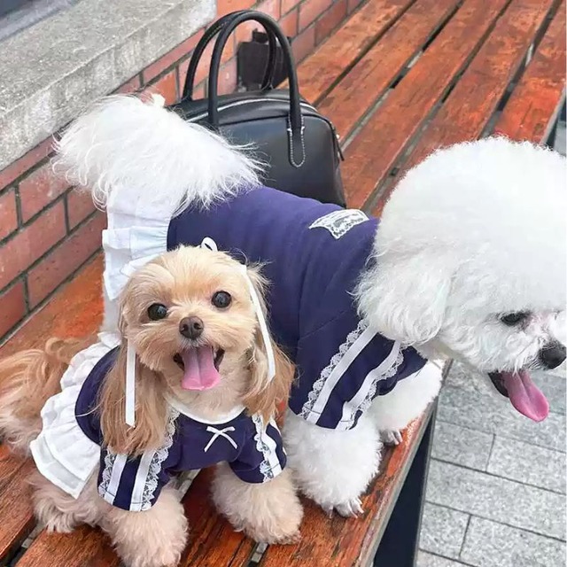ショルダーレースワンピース　犬服　01216
