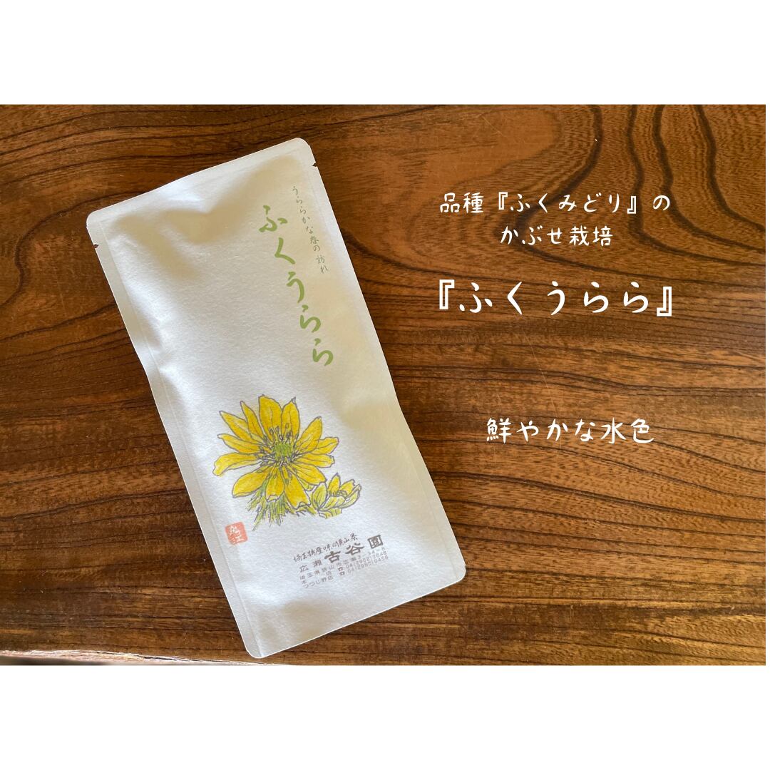狭山茶 ふくうらら（煎茶） 100g 【古谷園】 | 純狭山茶処 古谷園