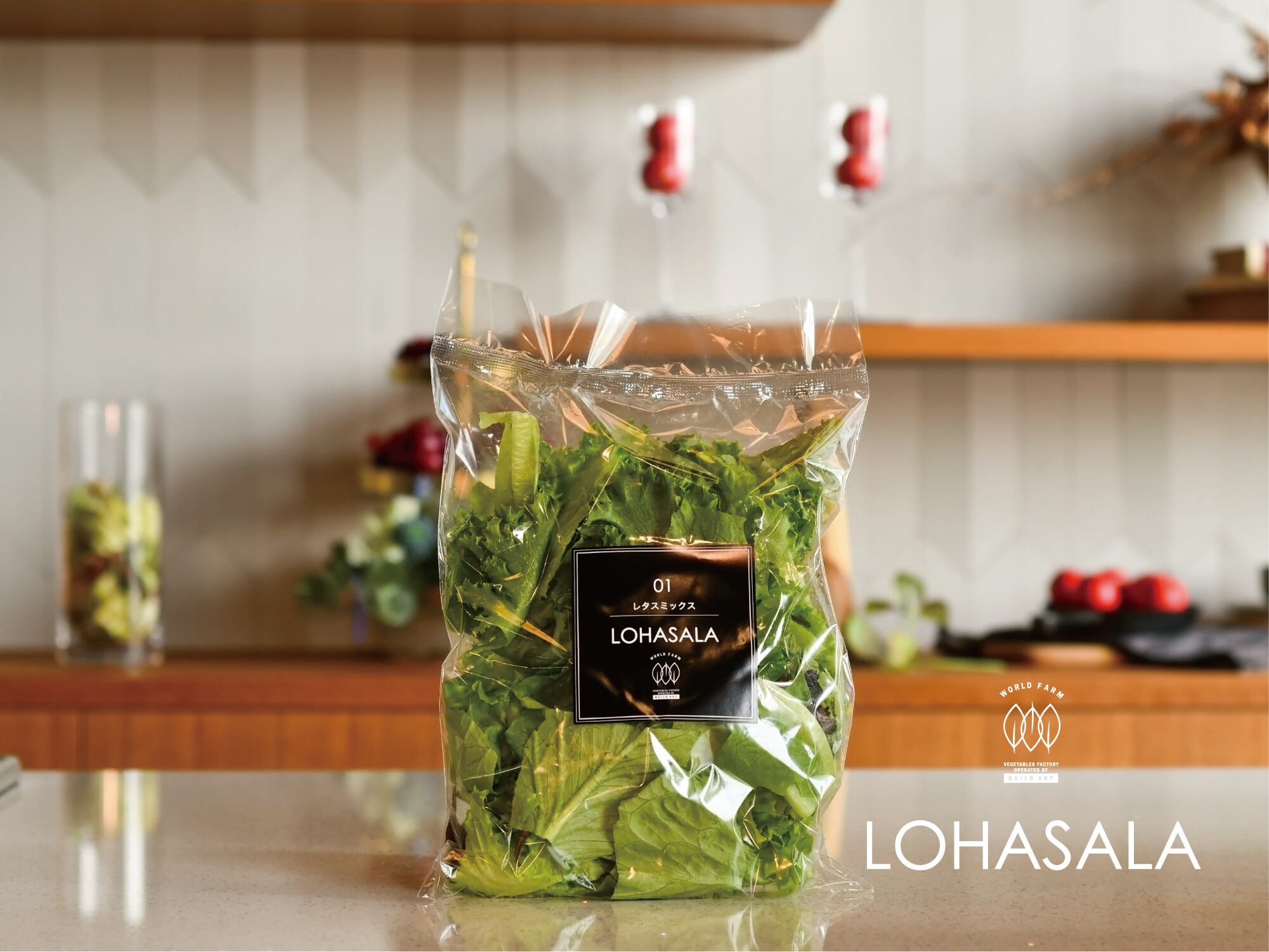 Lohasala レタスミックス小分け 5個 100g 無洗led栽培野菜 農薬不使用工場栽培野菜 Lohasala ロハサラ Lohasala レタスミックス小分け 5個 100g 無洗led栽培野菜 農薬不使用工場栽培野菜 Lohasala ロハサラ