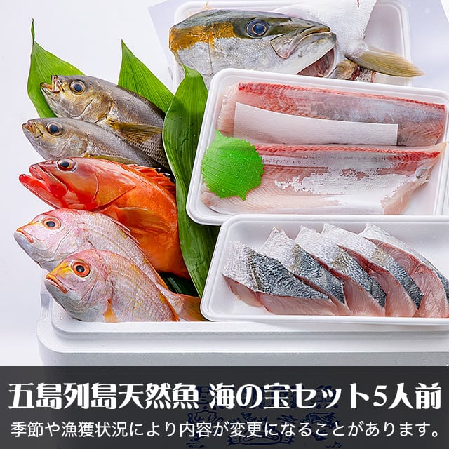 五島列島天然魚 海の宝セット5人前 | 宇久 黒潮鮮魚