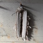 A scarf with threads sticking out