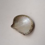 ぐるぐるシェルのトレイ