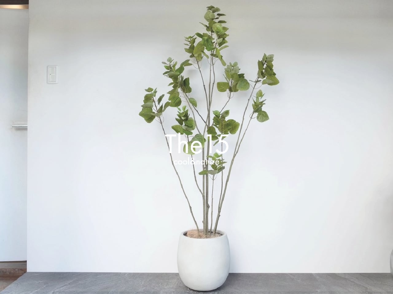 「リース@即購入⭕️緑背景は8/31まで」販売 観葉植物（フェイク） | The15