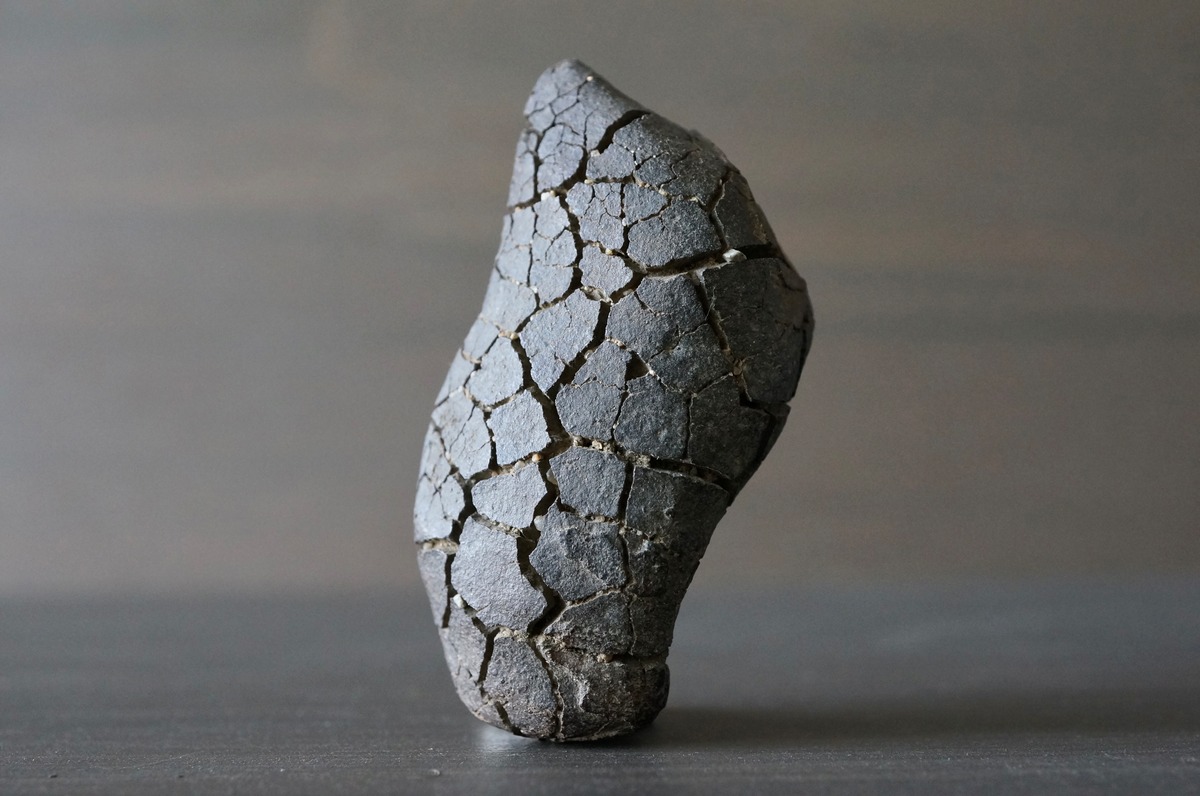 ゴビ砂漠産亀甲石 Gobi Turtleback Stone | 叙景 jokei
