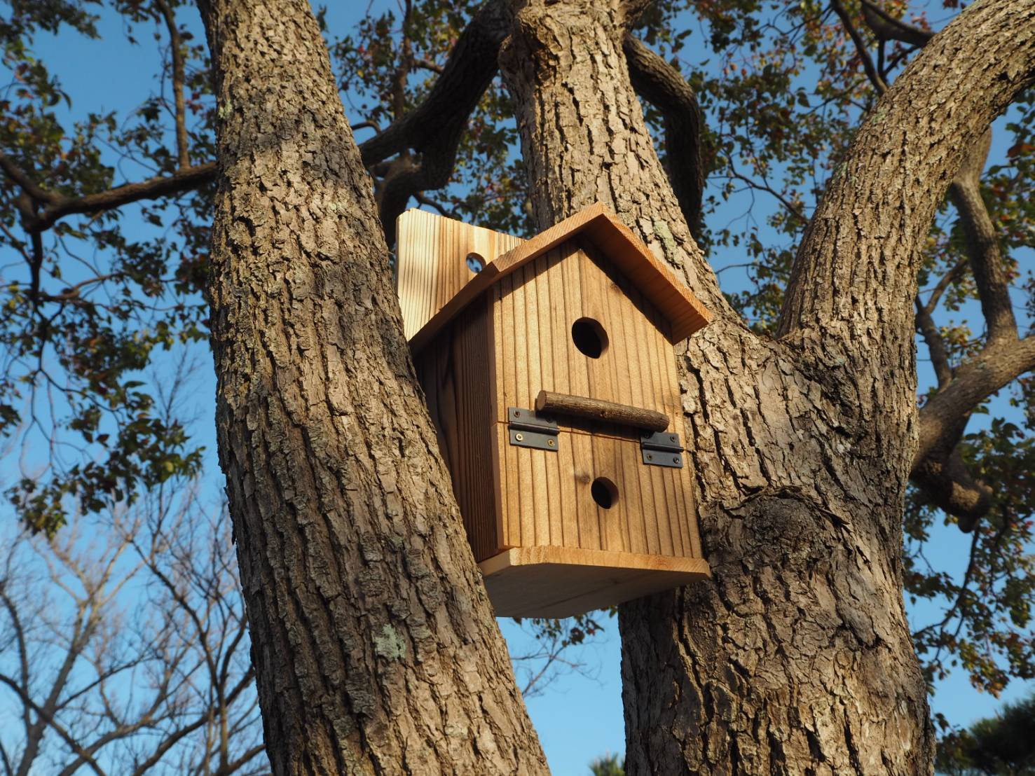 とりの巣箱 シジュウカラ用 ぽよぽよ工房
