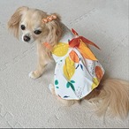 レモン柄のワンピース