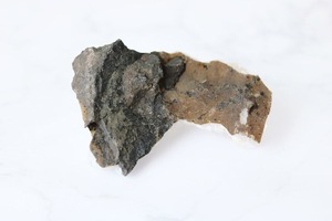 大多数から抜擢される。