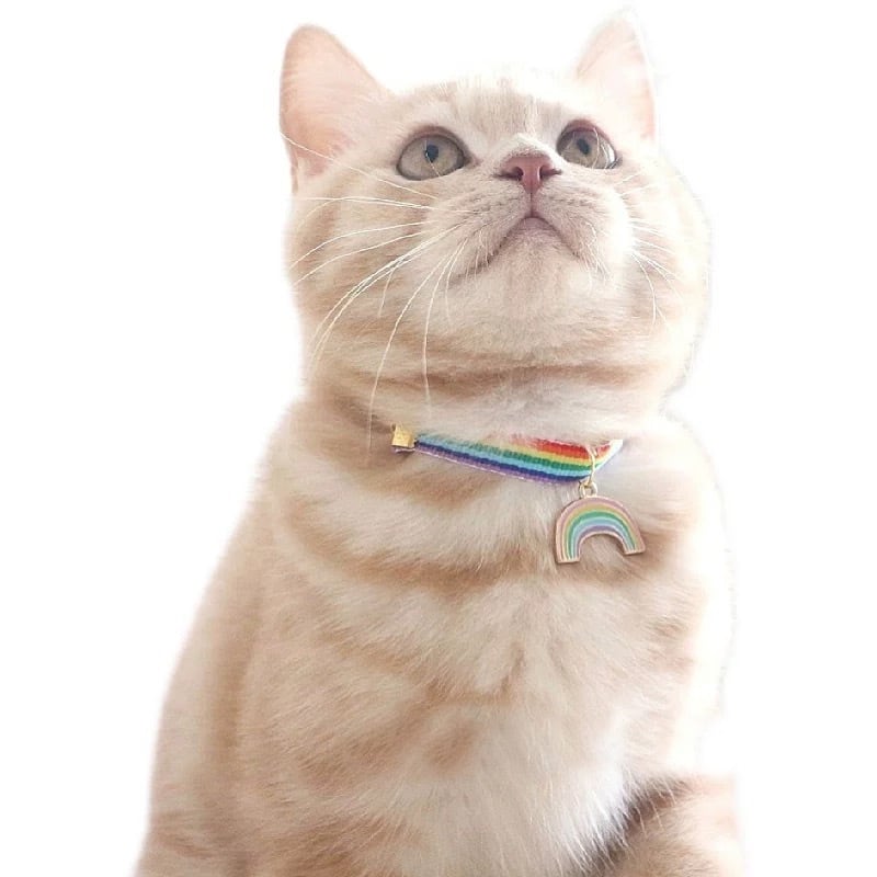 レインボーチョーカー 首輪 猫 虹 | nyanpets 猫グッズ専門店