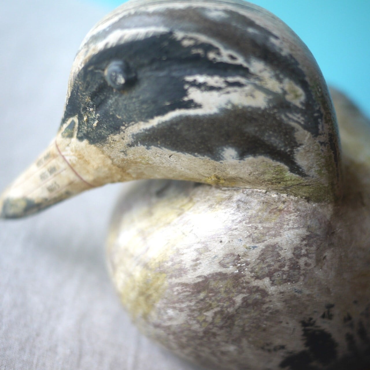 木製デコイ マガモ囮鳥 バードカービング ドイツ | こりすのパン屋Base