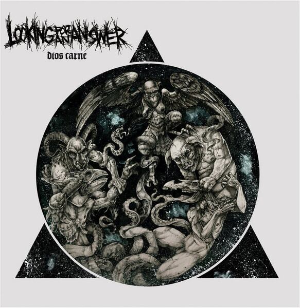 Z.O.A / night's wanton spider LP | RECORD SHOP MISERY