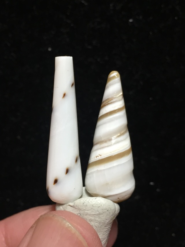 28) 愛のエネルギーバランス！「ケオン・オロン (ペア)」